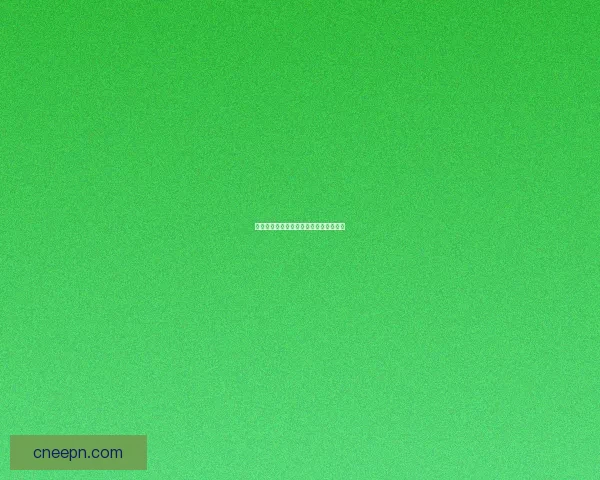 虚空龙声望系统详解及提升技巧攻略揭秘